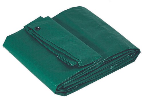 Telo pvc verde occhielato - pvc,